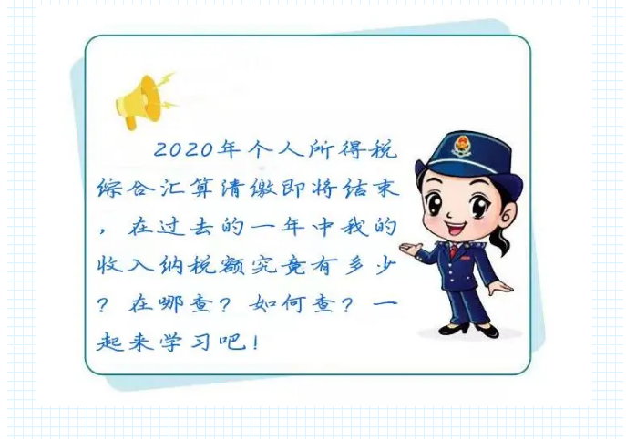 如何查詢我的2020年度收入納稅額？